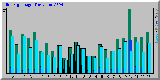 Hourly usage for June 2024