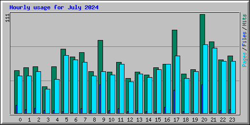 Hourly usage for July 2024