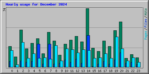 Hourly usage for December 2024