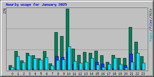 Hourly usage for January 2025