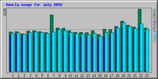 Hourly usage for July 2026