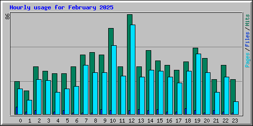 Hourly usage for February 2025
