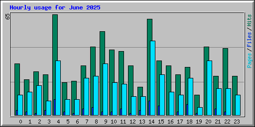 Hourly usage for June 2025