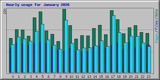 Hourly usage for January 2026