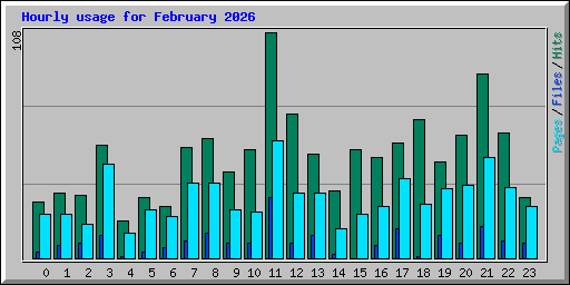Hourly usage for February 2026
